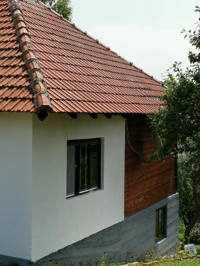 Uvac Griffon Villa Nova Varos Exterior photo